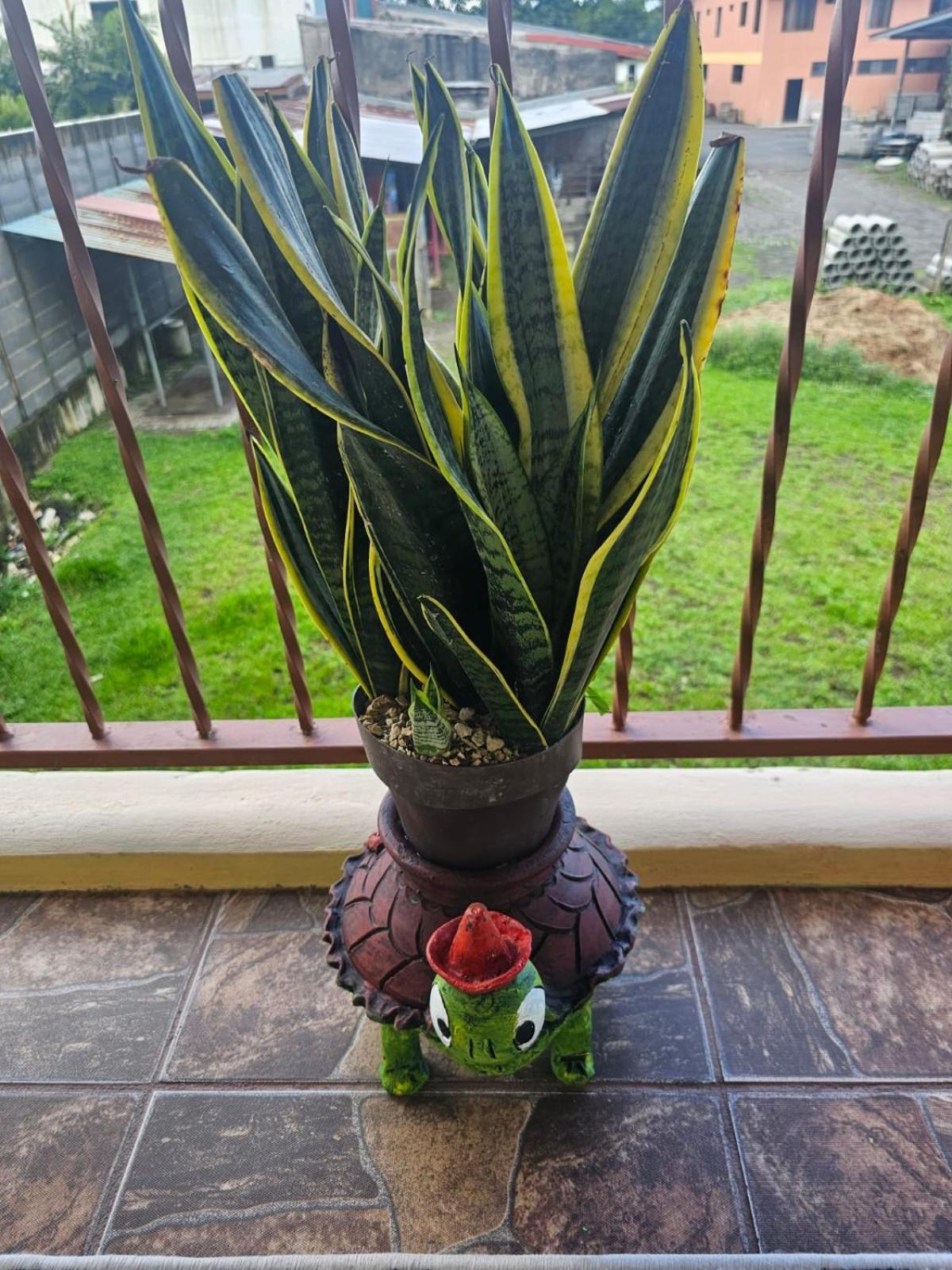 Arenal Paradise Lodge La Fortuna Dış mekan fotoğraf